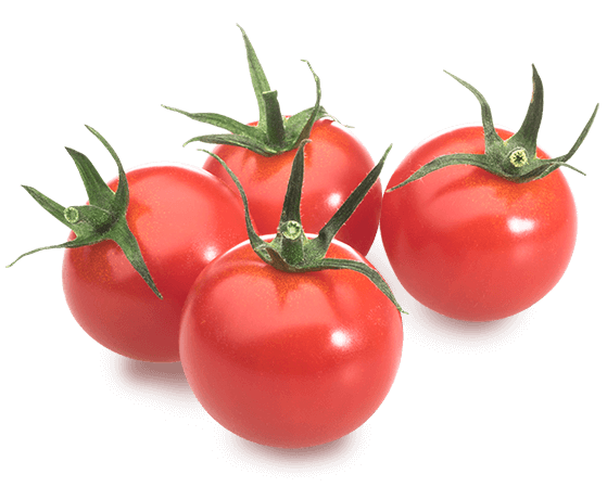 Premium Snack Tomaten